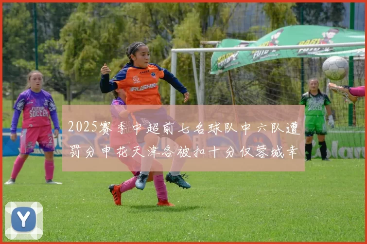 2025赛季中超前七名球队中六队遭罚分申花天津各被扣十分仅蓉城幸免